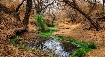 La reserva tiene como principal