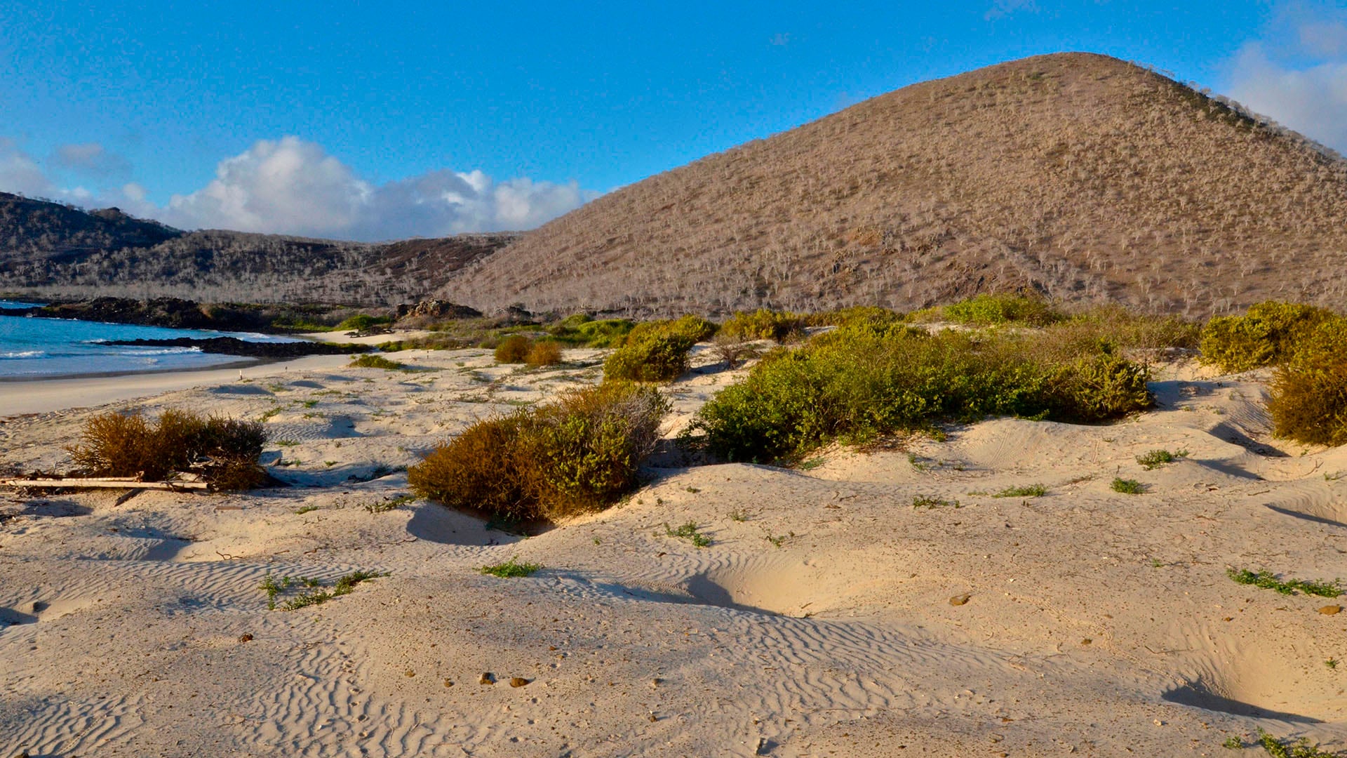 June 6, 2016, Galapagos Islands, Ecuador: Punta Cormorant, Floreana Island, Galapagos, (Credit Image: © Kike Calvo /ZUMA Wire)
