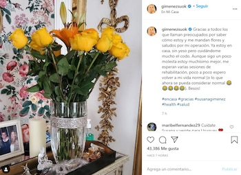 instagram susana gimenez