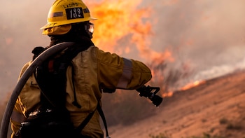 México refuerza su cerco contra el fuego: 207 brigadistas ya combaten los incendios de Canadá