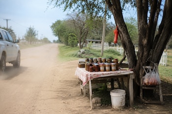 Una camioneta blanca circula por un camino de tierra, levantando polvo, junto a un puesto con una mesa, frascos con conservas, bolsas y un árbol grande