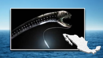 La zona abisal ha generado