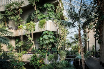 Invernadero y jardines acuáticos de Barbican, Londres