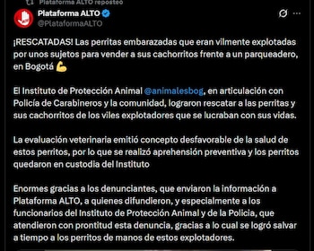 La denuncia ciudadana permitió la