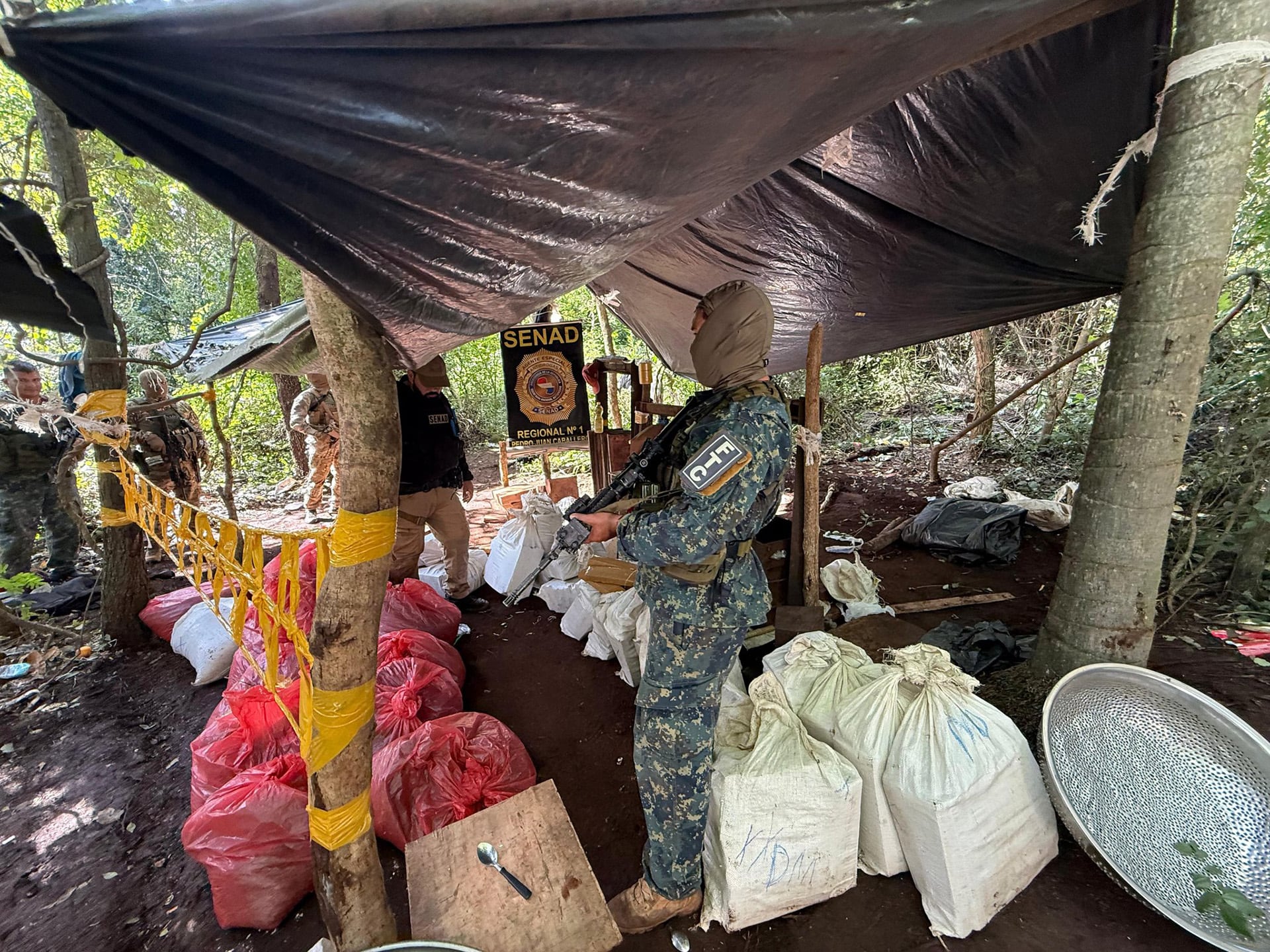 Destruyeron en Paraguay casi ocho toneladas de marihuana destinadas al mercado brasileño (Senad)