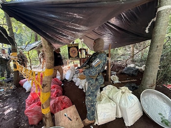 Un agente de seguridad con uniforme de camuflaje y pasamontañas, armado con un rifle, de pie junto a bolsas de Cannabis bajo una lona en un campamento forestal con un cartel de SENAD