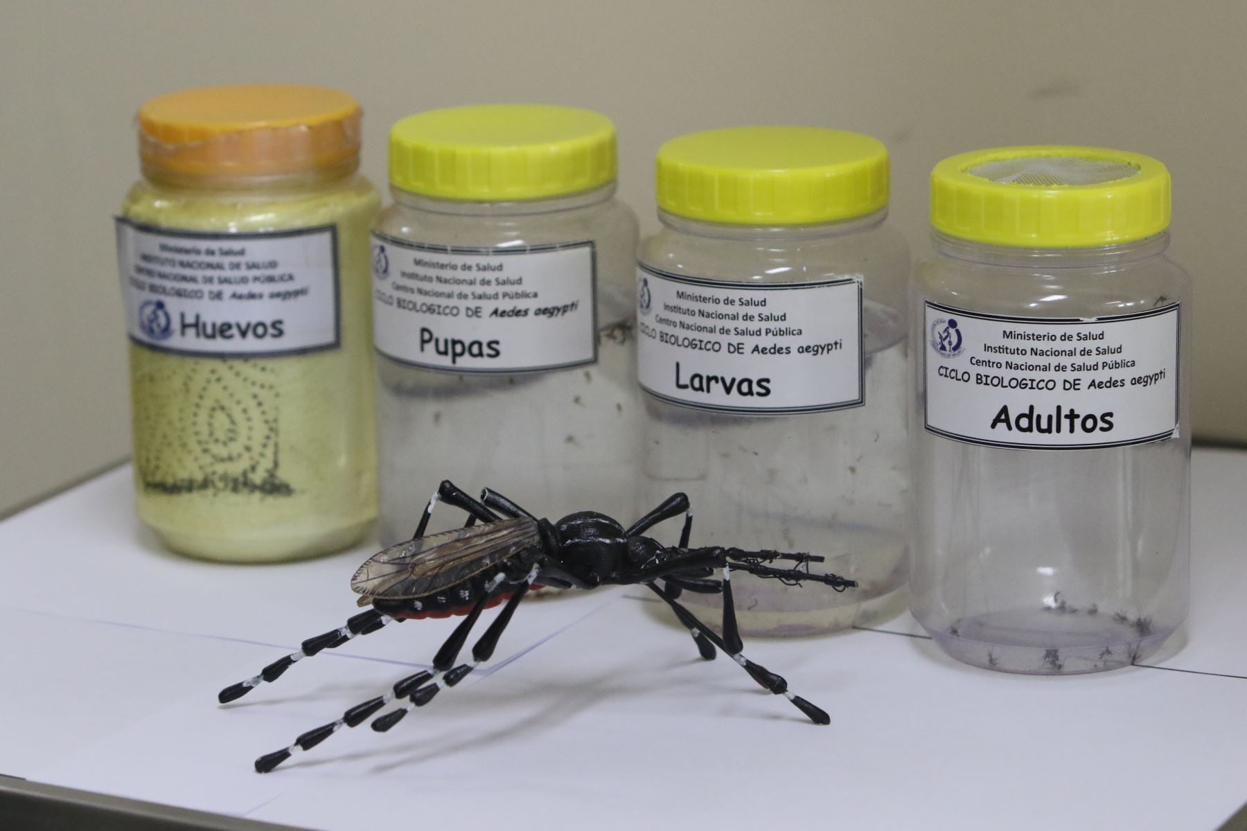 El zika, chikungunya, fiebre amarilla o el dengue, son algunas enfermedades asociadas con las picaduras de mosquitos que aparecerían luego de las lluvias a causa de el fenómeno de El Niño | Foto: Agencia Andina.