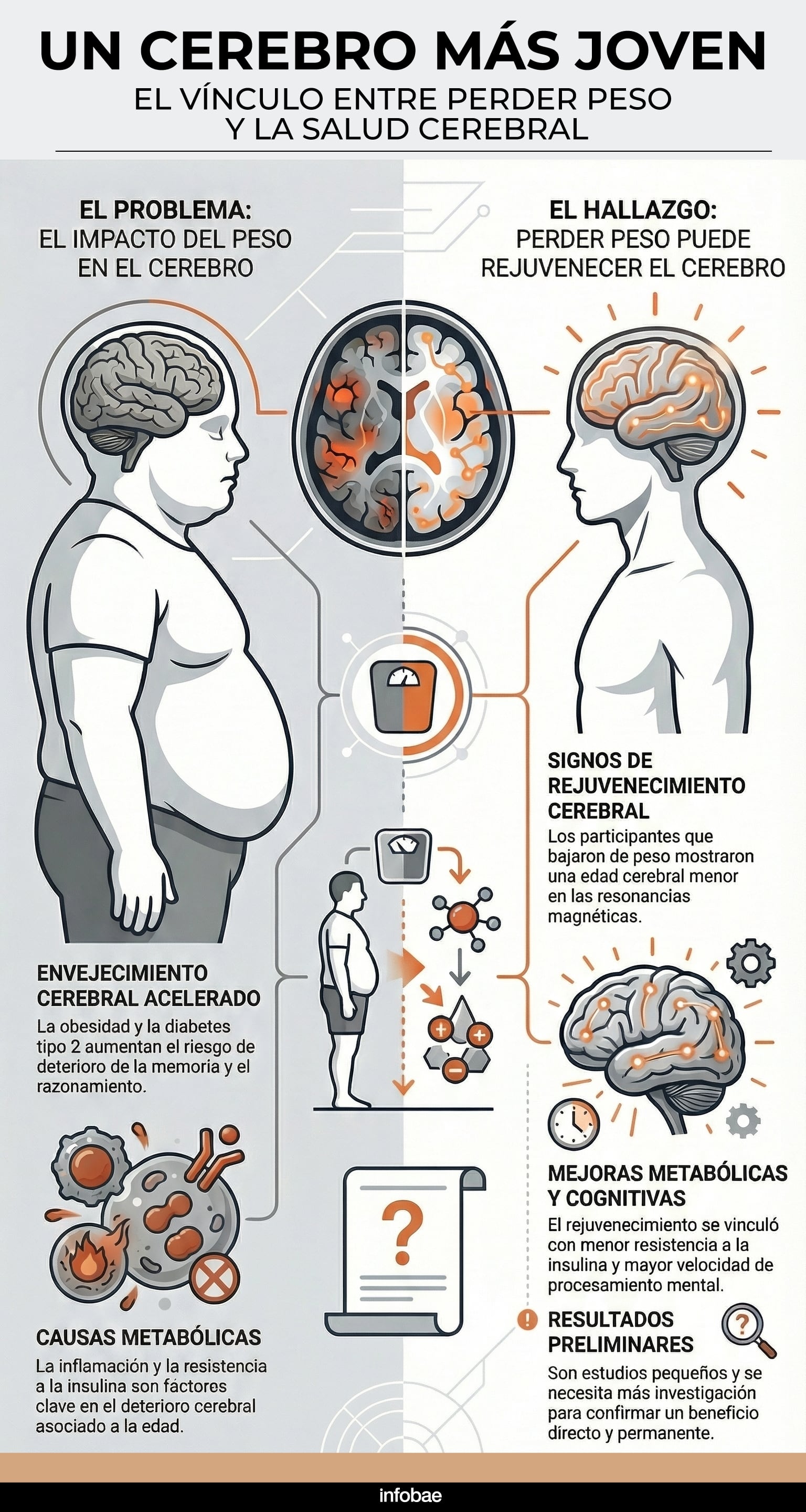 Infografía sobre la perdida de peso relacionada con un cerebro más joven (Crédito: InfografíaIA)