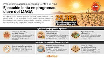 Infografía sobre presupuesto agrícola del MAGA en Guatemala; muestra 29,38% de ejecución al 30 de junio, iconos de programas y campo seco con maíz y sol.