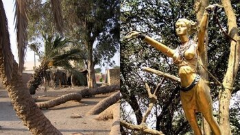 Conoce todo para visitar el