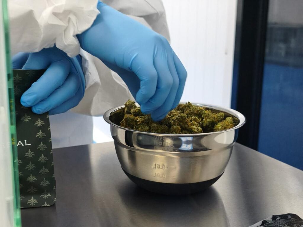 Costa Rica inauguró en Cartago el primer laboratorio de manufactura de cannabis medicinal para producir medicamentos terminados. (Foto: El Observador)