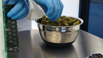 Costa Rica inaugura su primer laboratorio para fabricar medicamentos de cannabis medicinal