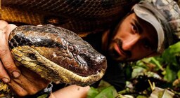 Un ecologista se deja devorar por una anaconda en directo para salvar el Amazonas: “¡Mi cara, necesito ayuda!”