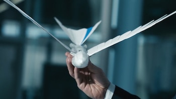 Los robots tienen un marcado