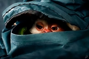 El adelanto de Gremlins da un vistazo a Gizmo.