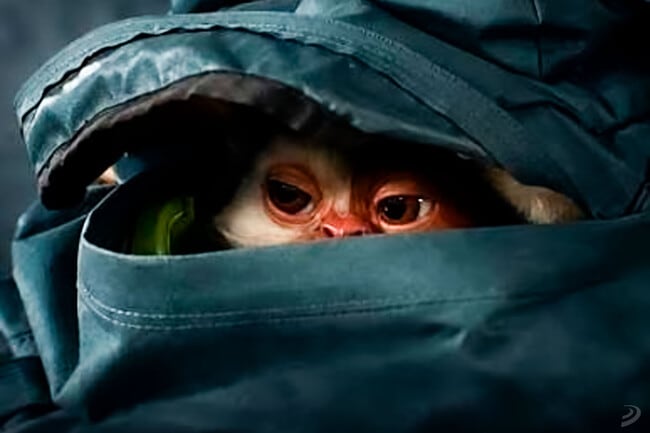 El adelanto de Gremlins da un vistazo a Gizmo.