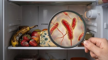 Los alimentos perecederos deben refrigerarse o congelarse en cuanto se llega a casa, de acuerdo con organismos de salud internacionales. (Imagen Ilustrativa Infobae).