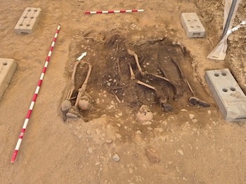 Restos hallados en la fosa encontrada entre Almoarín y Miajadas (Diputación de Cáceres)