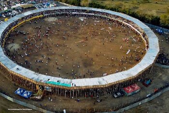 Procuraduría alerta por las corralejas
