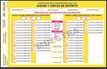 Muestra de la boleta, aún