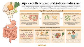 Infografía con ilustraciones de ajo, cebolla, poro, el tracto digestivo humano y esquemas explicativos sobre bacterias e intestino.
