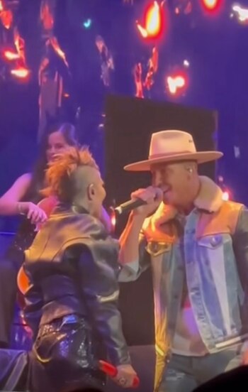 El tema elegido por la