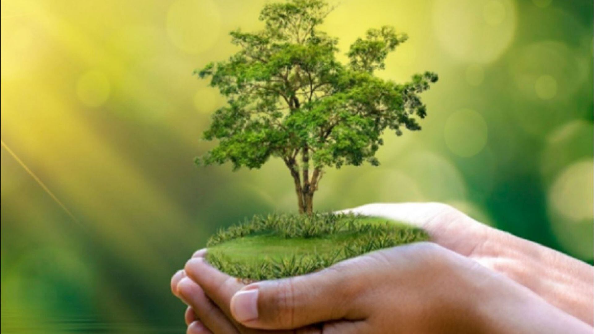 Esta jornada busca crear conciencia sobre el daño ambiental y promover una relación más armoniosa entre los seres humanos y la naturaleza. (Andina)