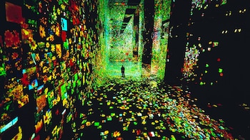 En el ambicioso nuevo Museo de IA, sientes el arte, y este te corresponde