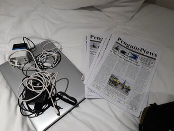 Algunos ejemplares del Penguin News