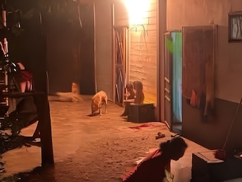 Seis personas murieron tras un ataque armado registrado en la colonia Murillo Soto de Olanchito. (FOTO: Diario Tiempo)