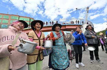 Amas de casa partidarias de