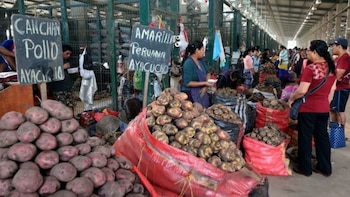 8 mil toneladas de productos