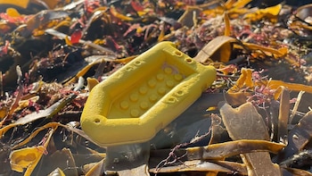 Por qué siguen apareciendo Legos