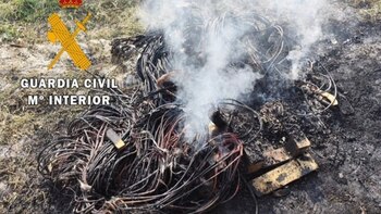 Cuatro detenidos en Estella por