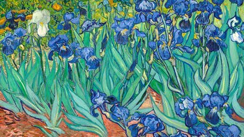 Una nueva investigación revela que