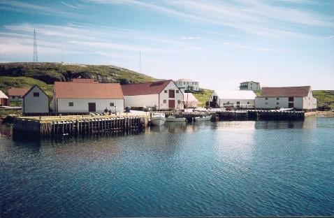 La moratoria federal al bacalao decretada en 1992 dejó sin empleo a 30.000 personas en la provincia de Terranova y Labrador