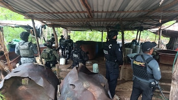 Desmantelan tres laboratorios de metanfetamina en Guerrero: hallan reactores y toneladas de químicos