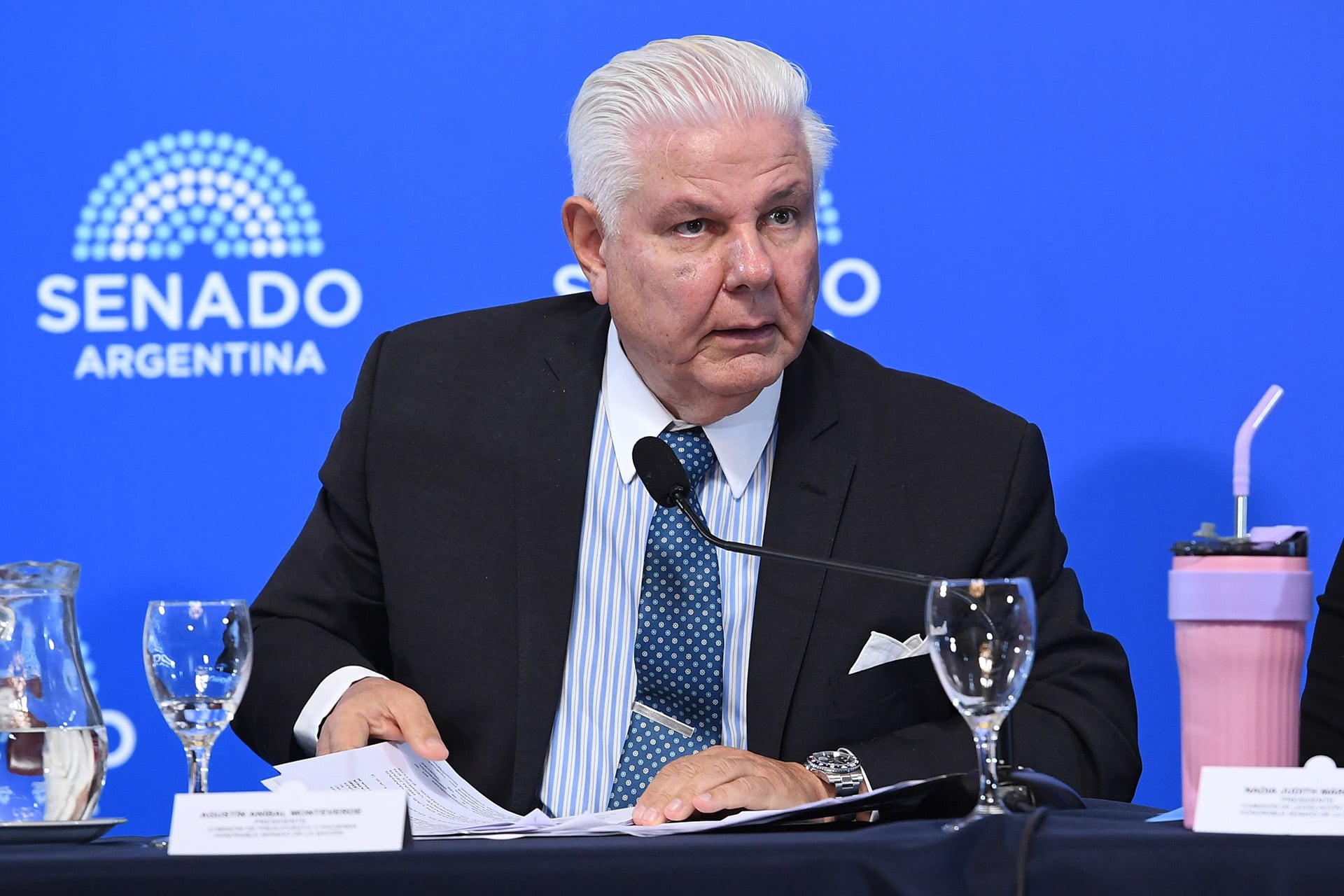 Monteverde planteó que el Estado no actuará como auxilio financiero para sectores o empresas que funcionaban con subsidios (Juan Carlos Cárdenas / Comunicación Senado.)