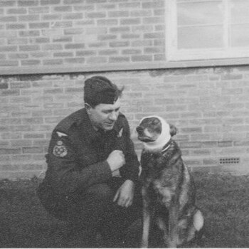 Antis recuperándose de sus heridas