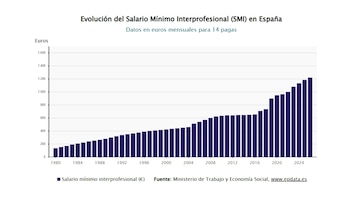 Evolución del salario mínimo interprofesional (SMI) en España. (EPData)