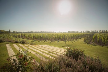 Este vino argentino se incluye