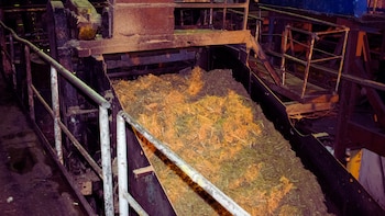 azucar