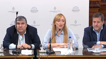 senado - proyecto de ley vinculado a temas previsionales. Estarán presentes José Mayans, Juliana Di Tullio, Anabel Fernández Sagasti y Mariano Recalde