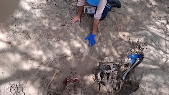Buscadoras alertan por posible cementerio clandestino en Miguel Alemán, Tamaulipas: “Los restos salen de la tierra como pidiendo auxilio”
