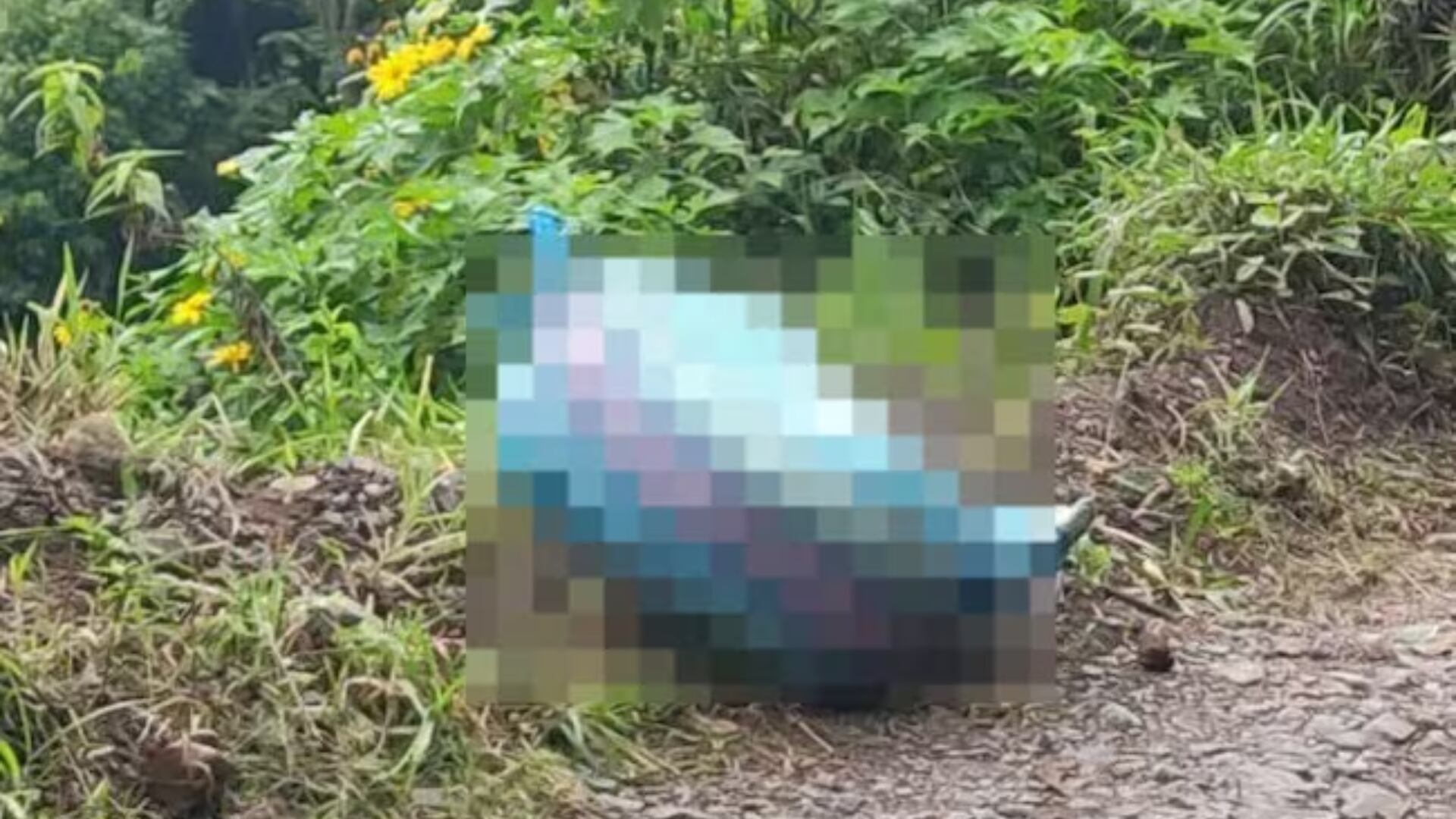 La aparición de un cuerpo sin vida envuelto en un costal ha conmocionado a los habitantes de una zona rural de Támesis, en el Suroeste de Antioquia - crédito redes sociales