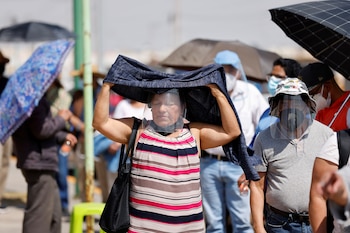 Durante 2024 se esperan cinco