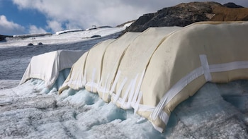 Cuatro universitarios suizos taparon un glaciar de los Alpes con lana de oveja y lograron reducir su deshielo en más de un 50% en solo tres meses