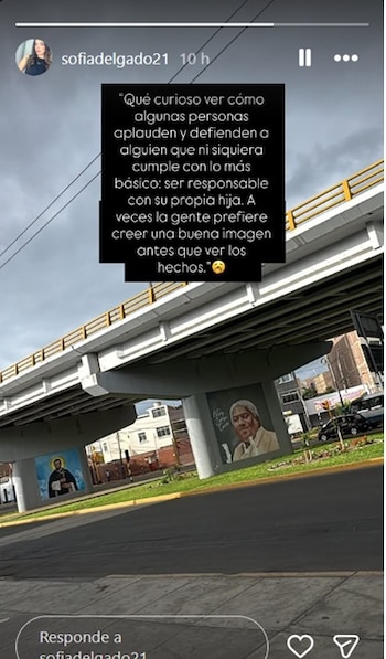 Sofía Delgado cuestionó que “la gente” defienda una imagen pública que, según ella, no coincide con los hechos de Paul Michael . IG
