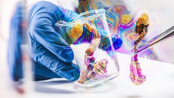 Psilocibina segura y eficaz contra los trastornos del estado de ánimo, muestran datos del mundo real