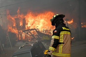 Los brigadistas mexicanos trabajan en